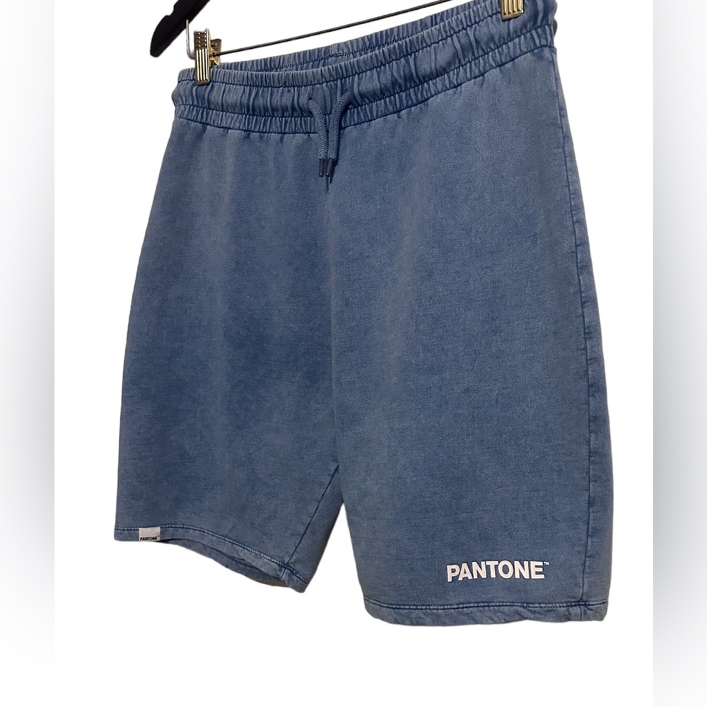 Pantone size 6 woman’s shorts